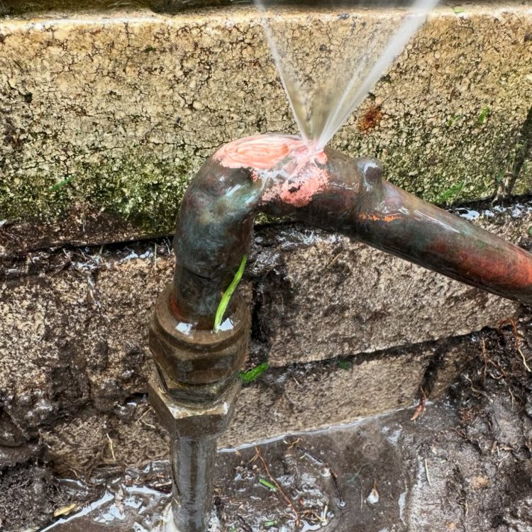 13221C78-D42F-4673-A0CB-EB2D64CD92E3