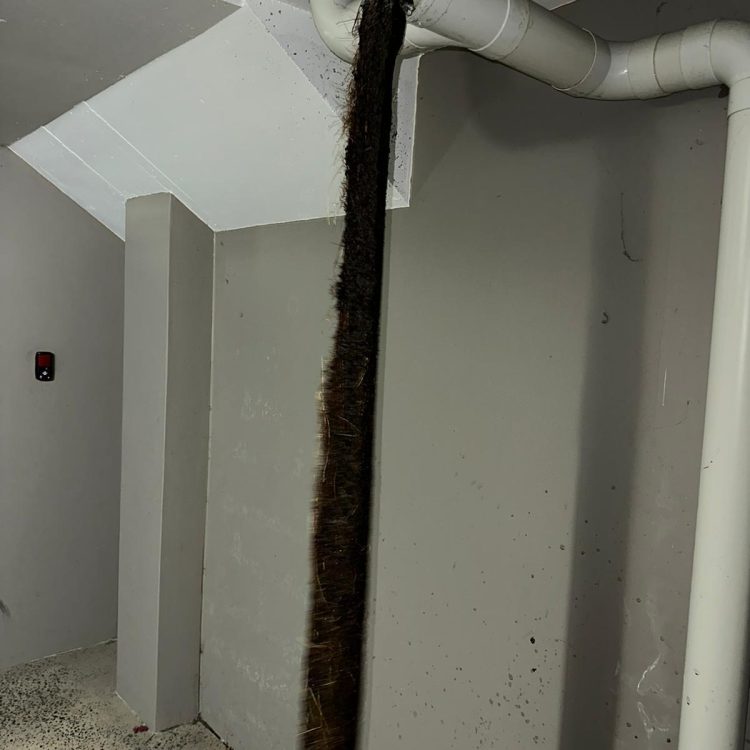 16F3BF75-FEE9-400F-B989-D55891E3664B