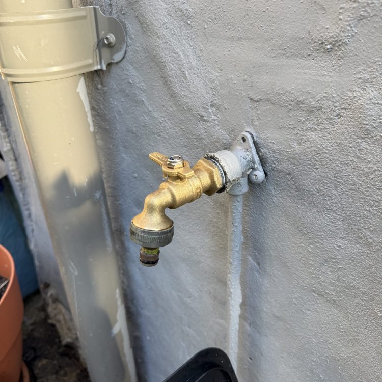 1B1DE5FA-52F5-4059-83A3-2AB90079750A