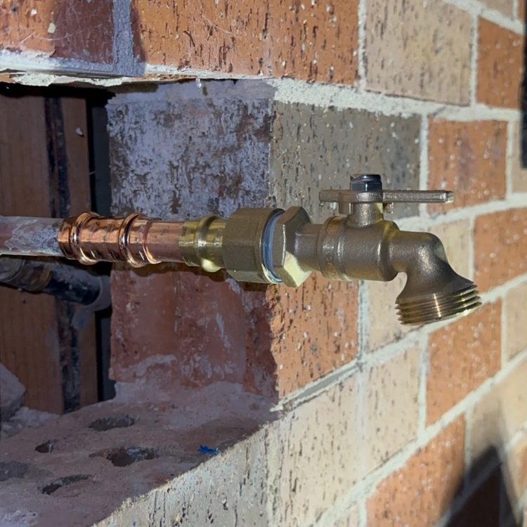 C21895A8-9D4E-4045-A393-02C459C42F2F